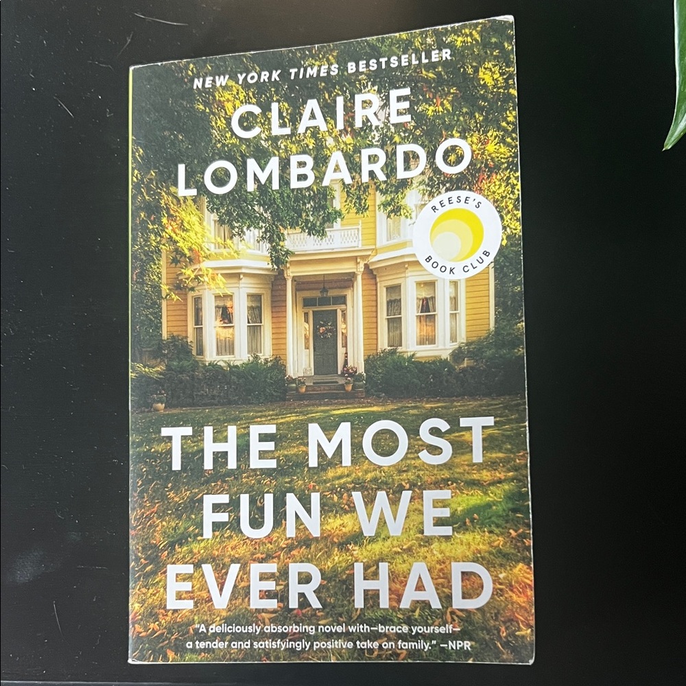 The Most Fun We Ever Had Book